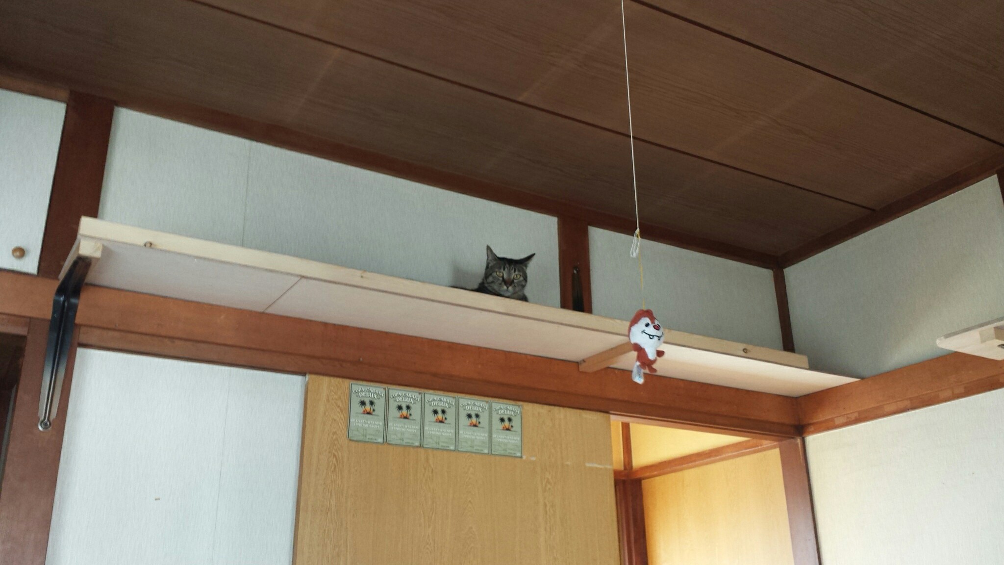 f:id:m-mocchan0629:20170507143752j:image