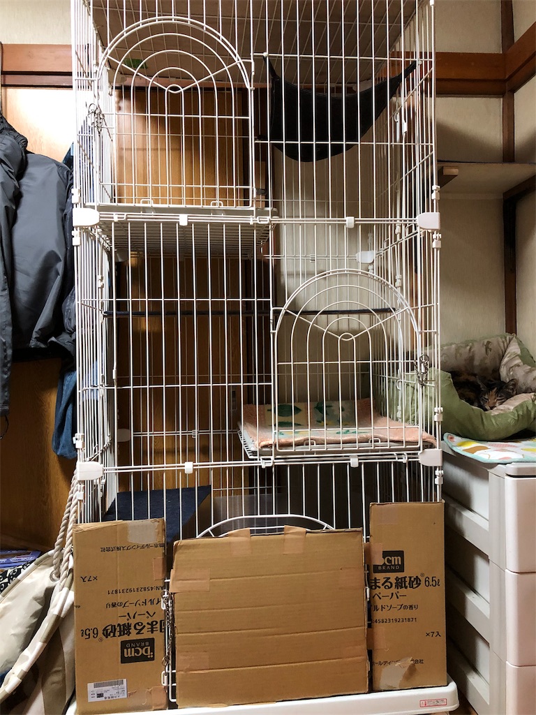 f:id:m-mocchan0629:20190101134753j:image f:id:m-mocchan0629:20190101134753j:image