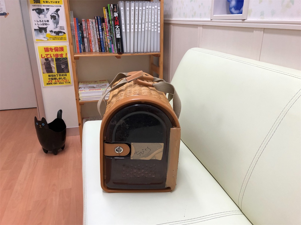 f:id:m-mocchan0629:20190109223207j:image
