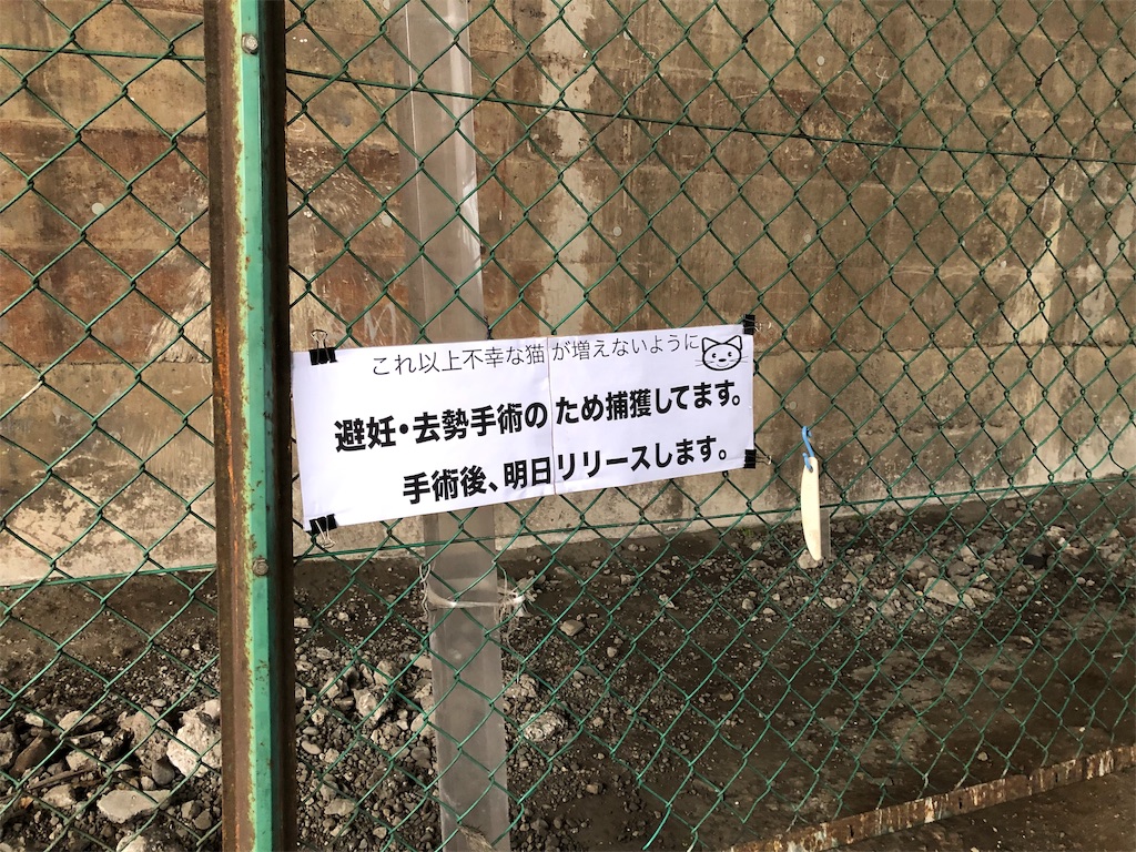f:id:m-mocchan0629:20190325221811j:image