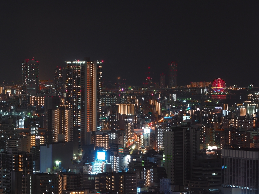 f:id:m-n-k-n:20190115201918j:plain
