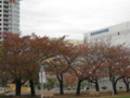 f:id:m-ranenkei:20121117075620j:image:medium:right