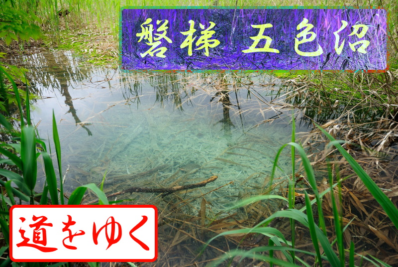 f:id:m-ryouma:20220317201139j:plain