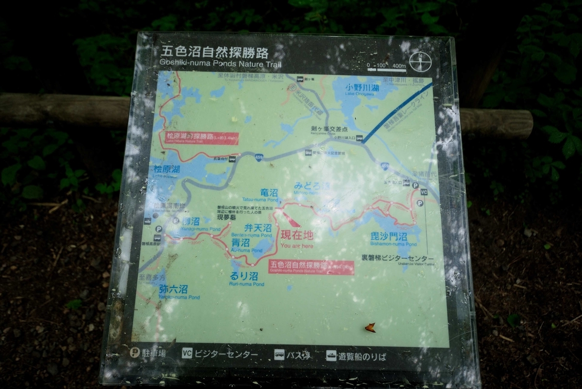 f:id:m-ryouma:20220317202116j:plain