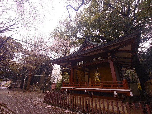 f:id:m-ryouma:20220401074214j:image