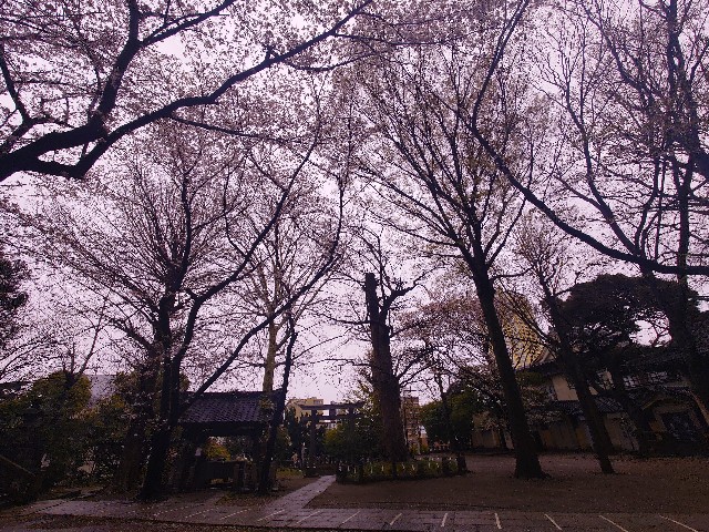 f:id:m-ryouma:20220401074309j:image