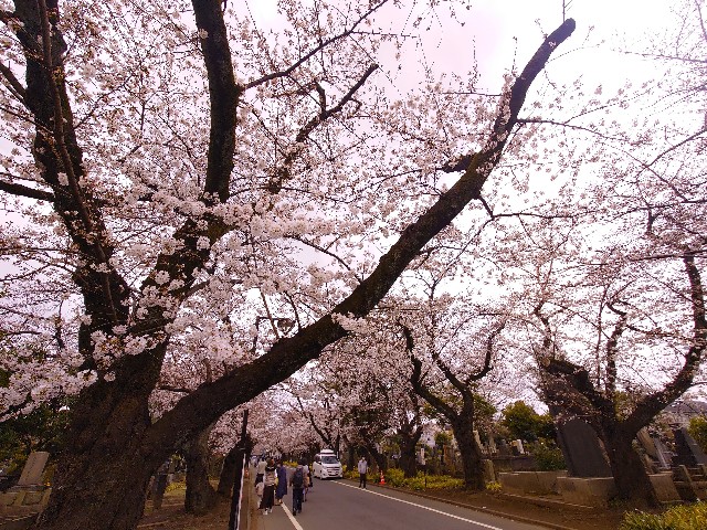 f:id:m-ryouma:20220401074730j:image