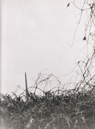 f:id:m-sakane:20090709013215j:image