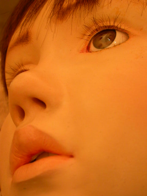 夜 繭の画像