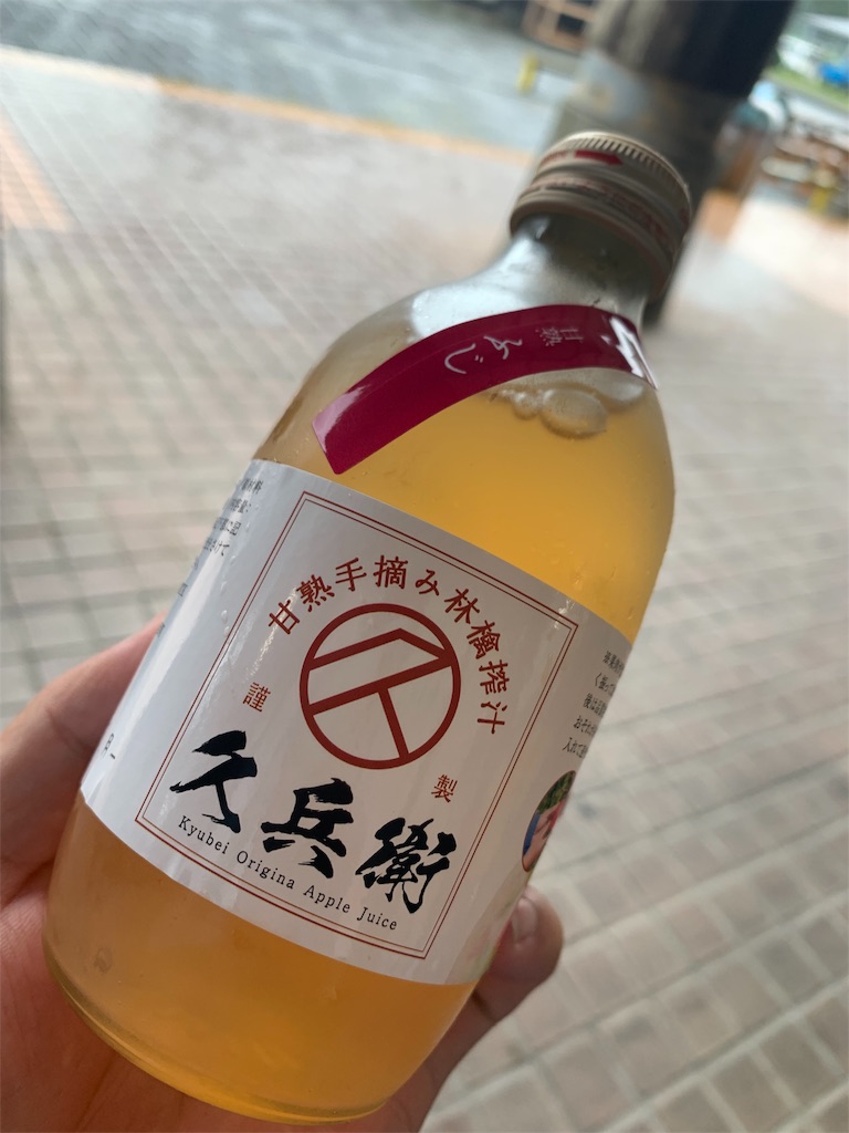 f:id:m-sinjiiii:20190821182443j:image