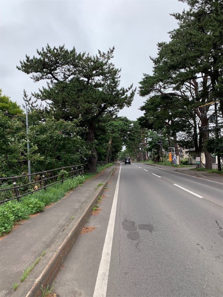 f:id:m-sinjiiii:20190822200425j:image