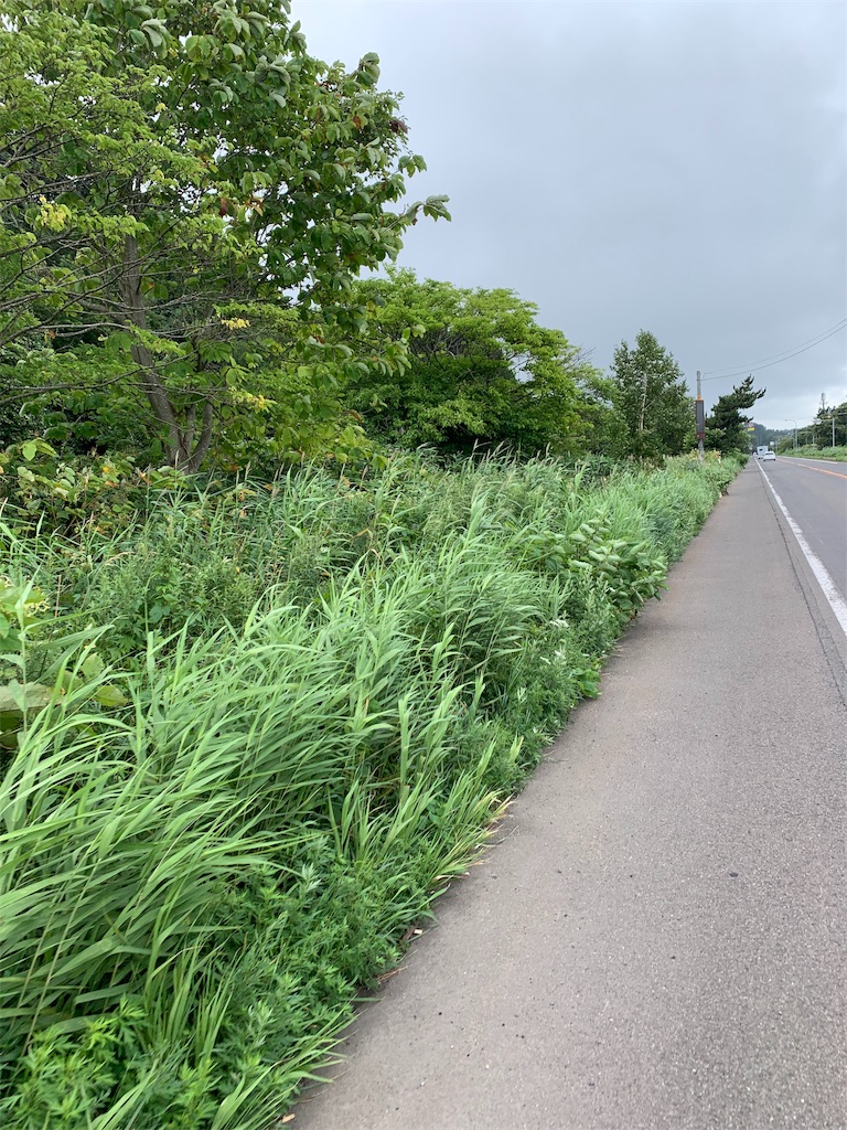 f:id:m-sinjiiii:20190822200843j:image