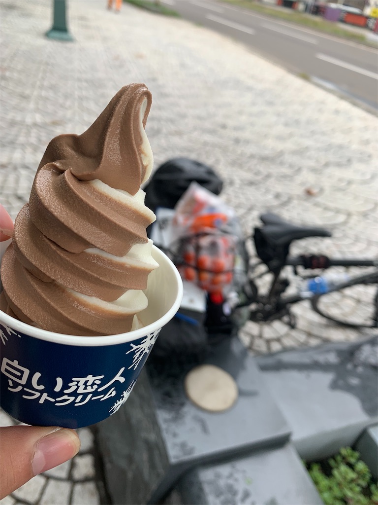 f:id:m-sinjiiii:20190823225629j:image