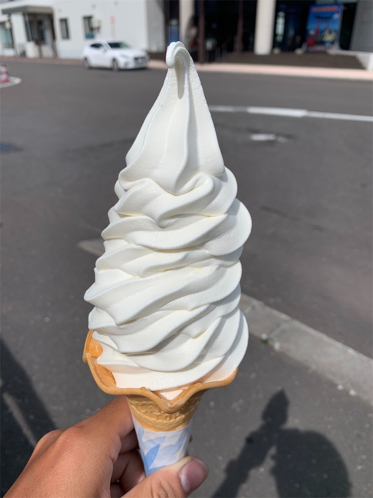 f:id:m-sinjiiii:20190825203551j:image