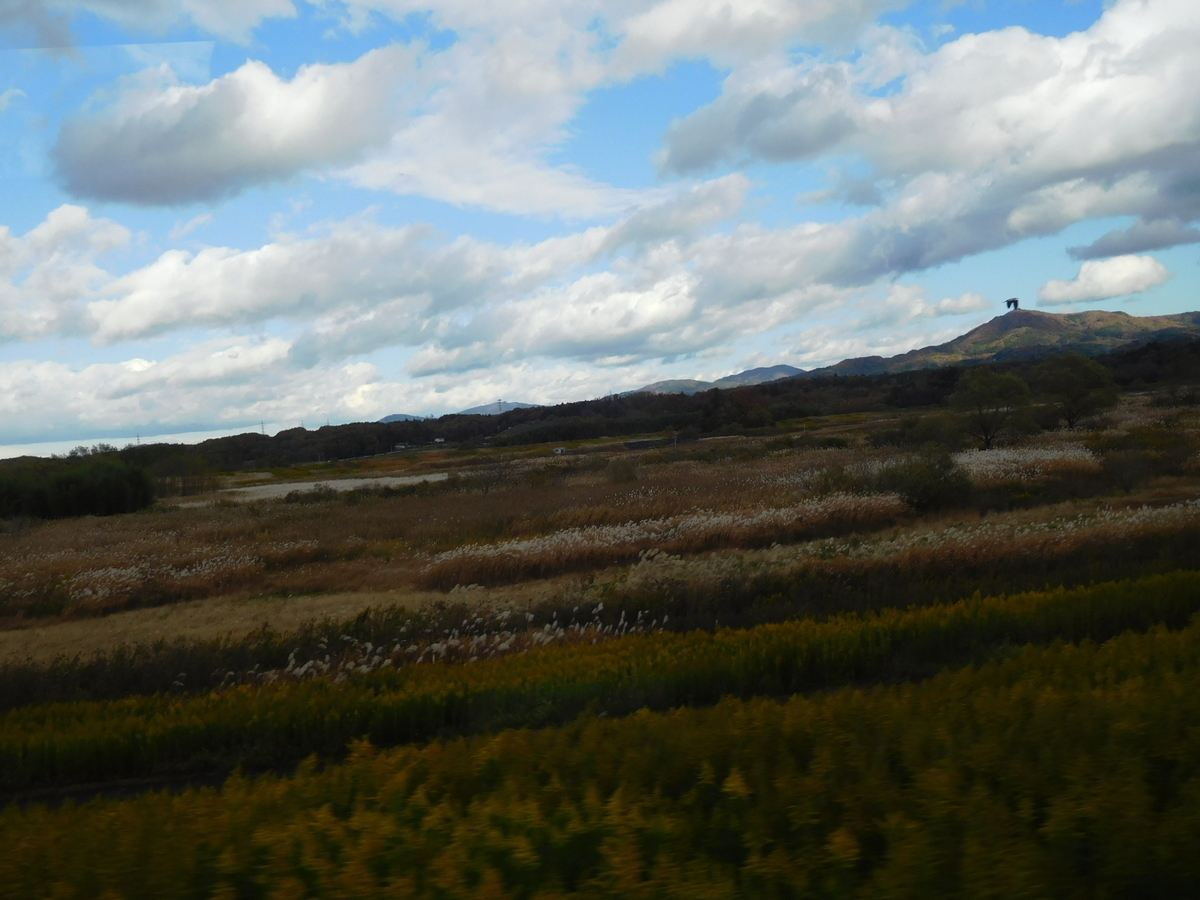 f:id:m-sizue:20201111185254j:plain