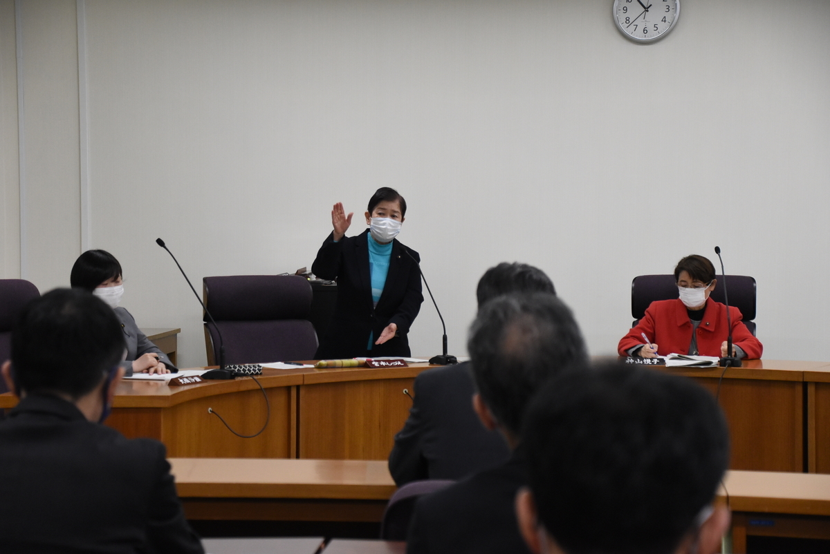 f:id:m-sizue:20210113141731j:plain