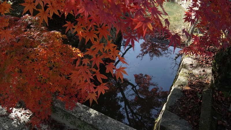 f:id:m-sugiyama-s61:20181202193032j:plain f:id:m-sugiyama-s61:20181202193032j:plain