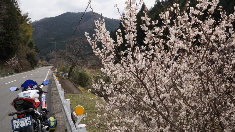 f:id:m-sugiyama-s61:20190323190536j:plain f:id:m-sugiyama-s61:20190323190536j:plain