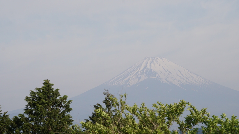 静岡