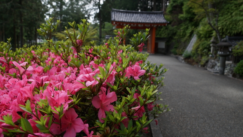 京都