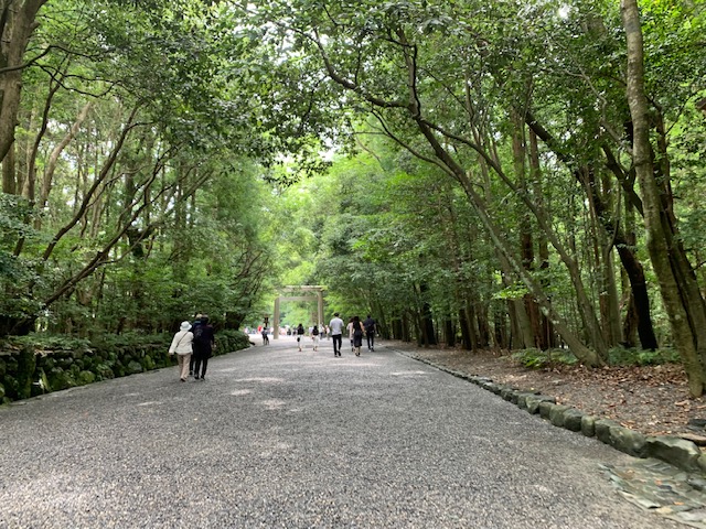f:id:m-sugiyama-s61:20190630123157j:plain f:id:m-sugiyama-s61:20190630123157j:plain
