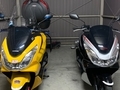 PCX