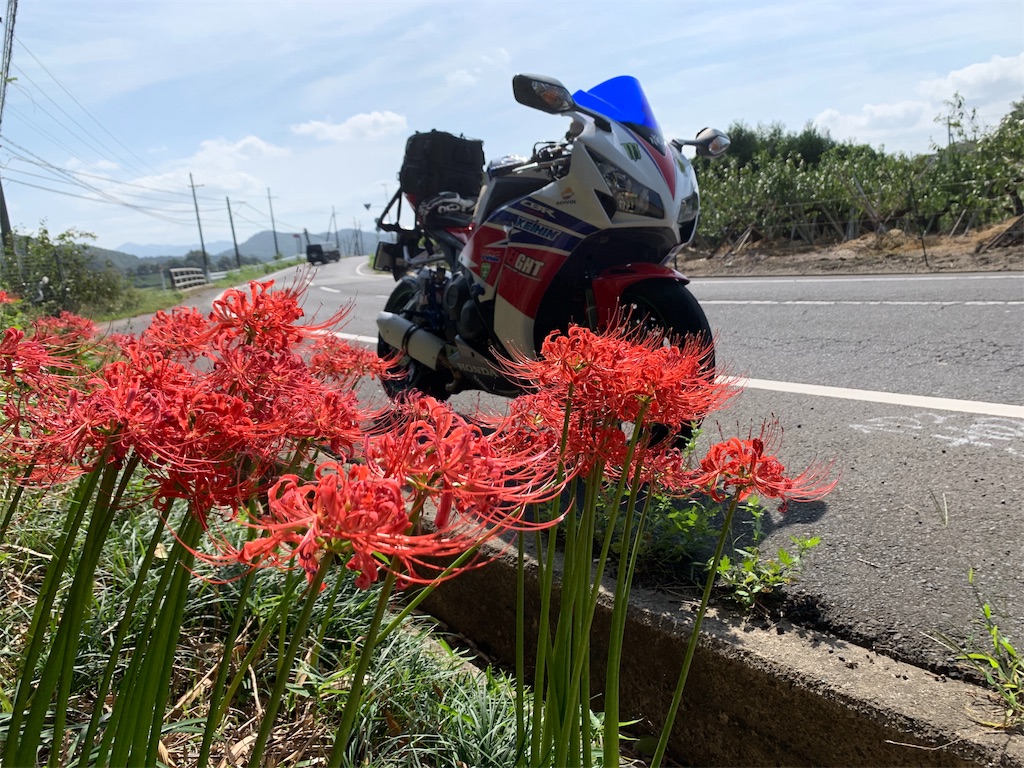 f:id:m-sugiyama-s61:20191010194008j:image f:id:m-sugiyama-s61:20191010194008j:image