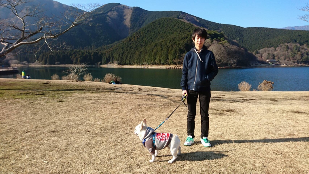 f:id:m-ta:20170421221126j:plain f:id:m-ta:20170421221126j:plain
