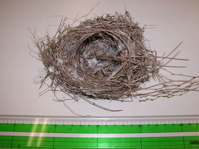 f:id:m-urabe:20070313200252j:image