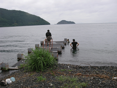 f:id:m-urabe:20080531201552g:image