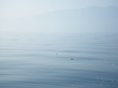 f:id:m-urabe:20081204183830g:image