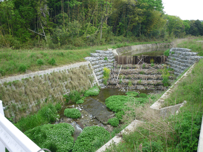 f:id:m-urabe:20090503211052g:image