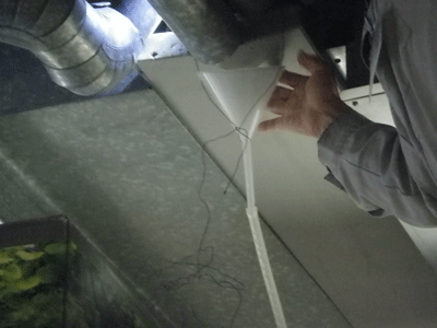 f:id:m-urabe:20120728175040g:image