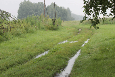 f:id:m-urabe:20130821211509g:image f:id:m-urabe:20130821211509g:image