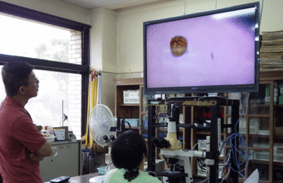 f:id:m-urabe:20130828201429g:image