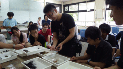 f:id:m-urabe:20130828202907g:image