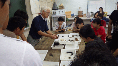 f:id:m-urabe:20130828202908g:image