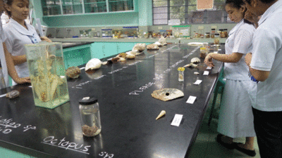 f:id:m-urabe:20130906184917g:image f:id:m-urabe:20130906184917g:image