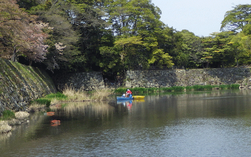 f:id:m-urabe:20140419192141g:image