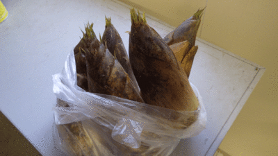 f:id:m-urabe:20140502184316g:image