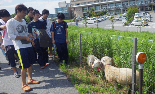 f:id:m-urabe:20150721185052g:image