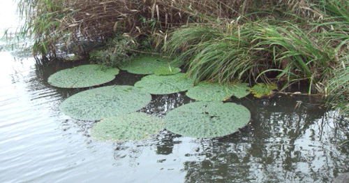 f:id:m-urabe:20160929213110g:image