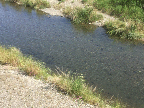 f:id:m-urabe:20170609202808g:image