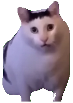 は？
