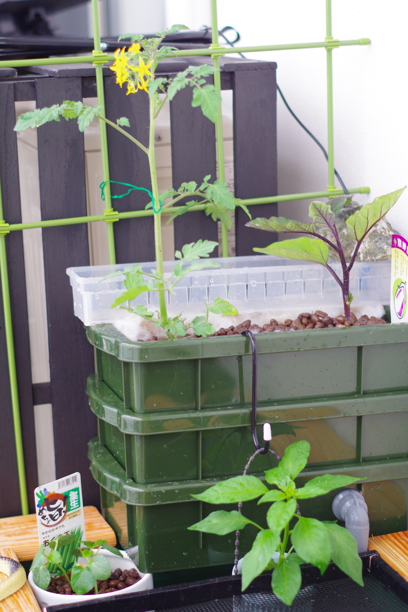 f:id:m-zirou:20200518125640j:plain