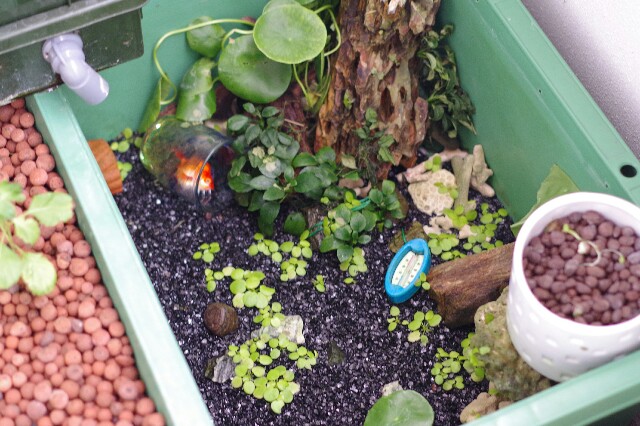 f:id:m-zirou:20200910191757j:image