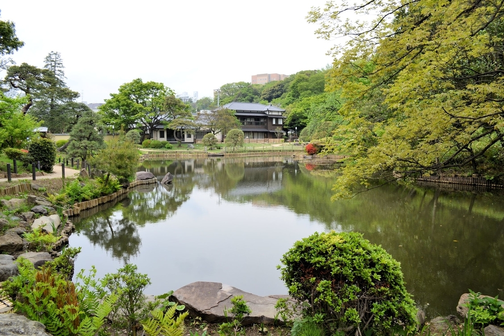 f:id:m00611108:20190224185317j:plain f:id:m00611108:20190224185317j:plain