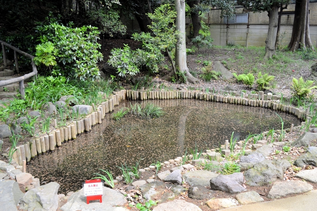 f:id:m00611108:20190224205624j:plain f:id:m00611108:20190224205624j:plain