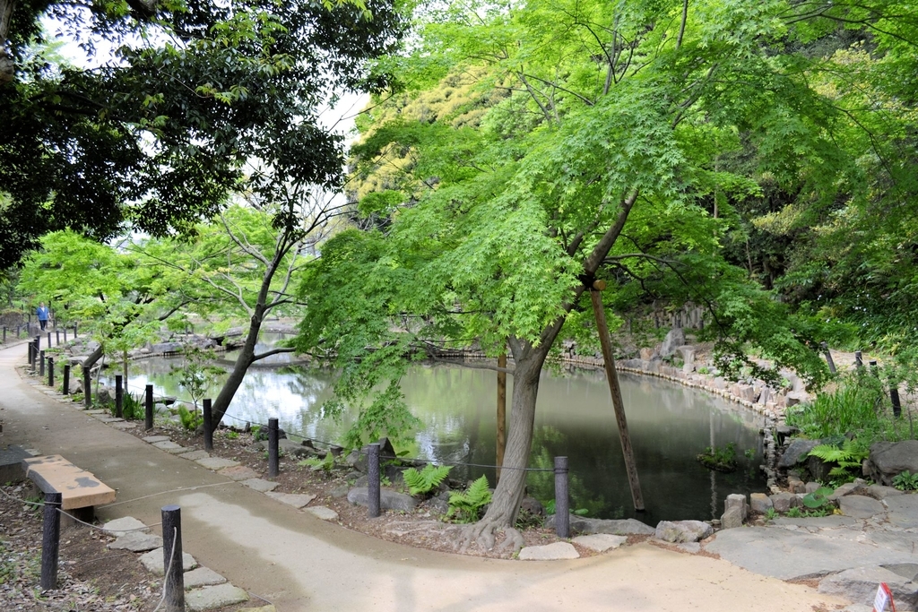 f:id:m00611108:20190224210438j:plain f:id:m00611108:20190224210438j:plain