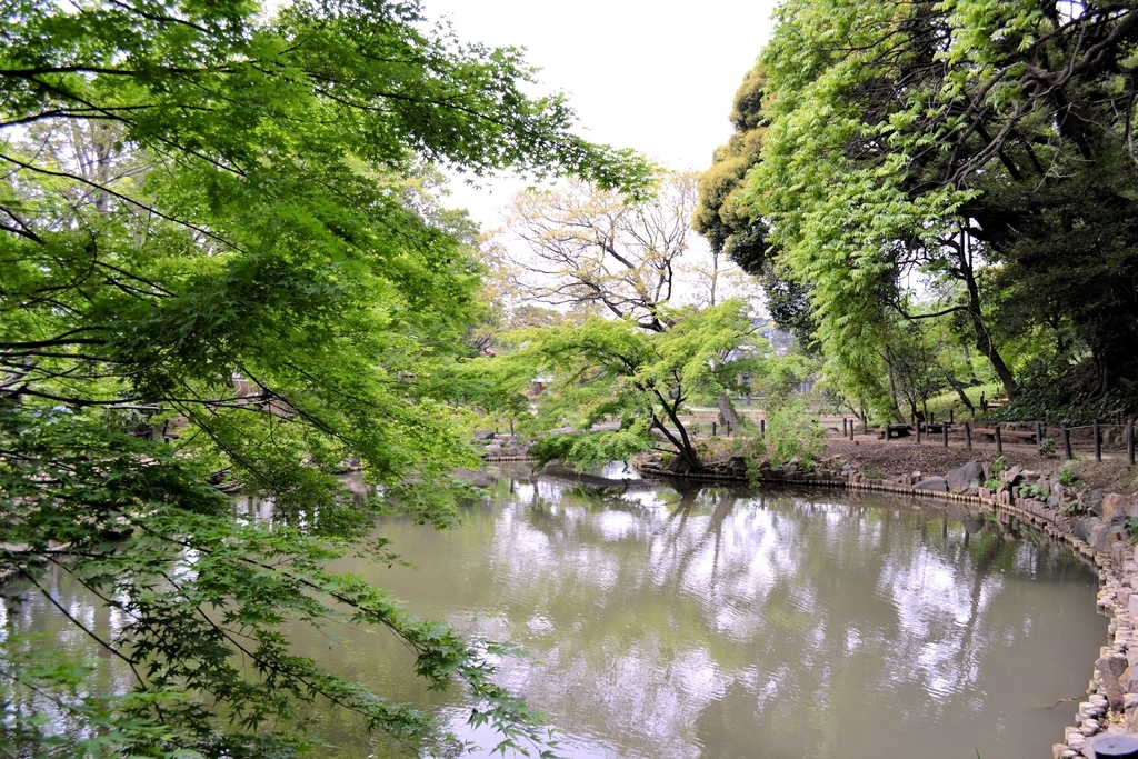 f:id:m00611108:20190224210513j:plain f:id:m00611108:20190224210513j:plain